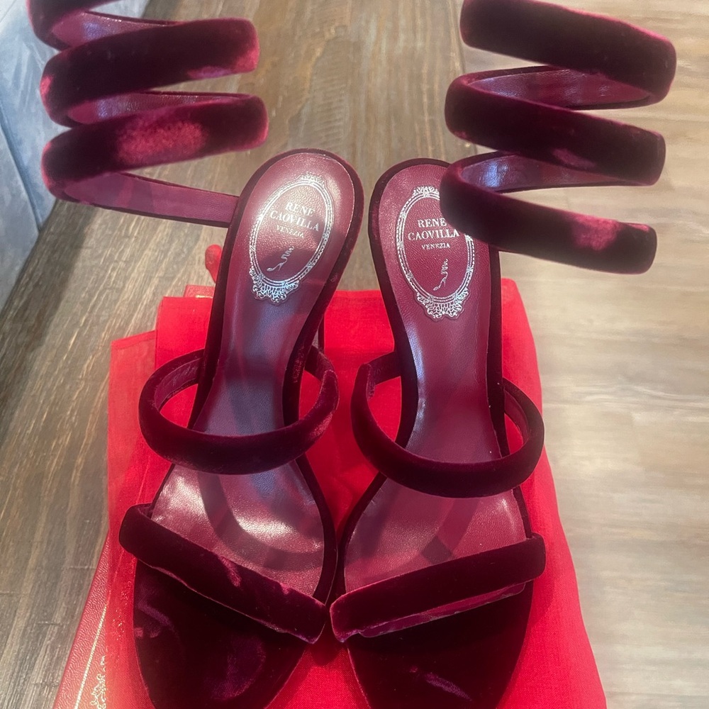 Rene Caovilla's Velvet Cleo sandals - Picture 9 of 9